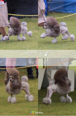 o0480072214043804362