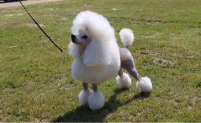 o0480029613899721733